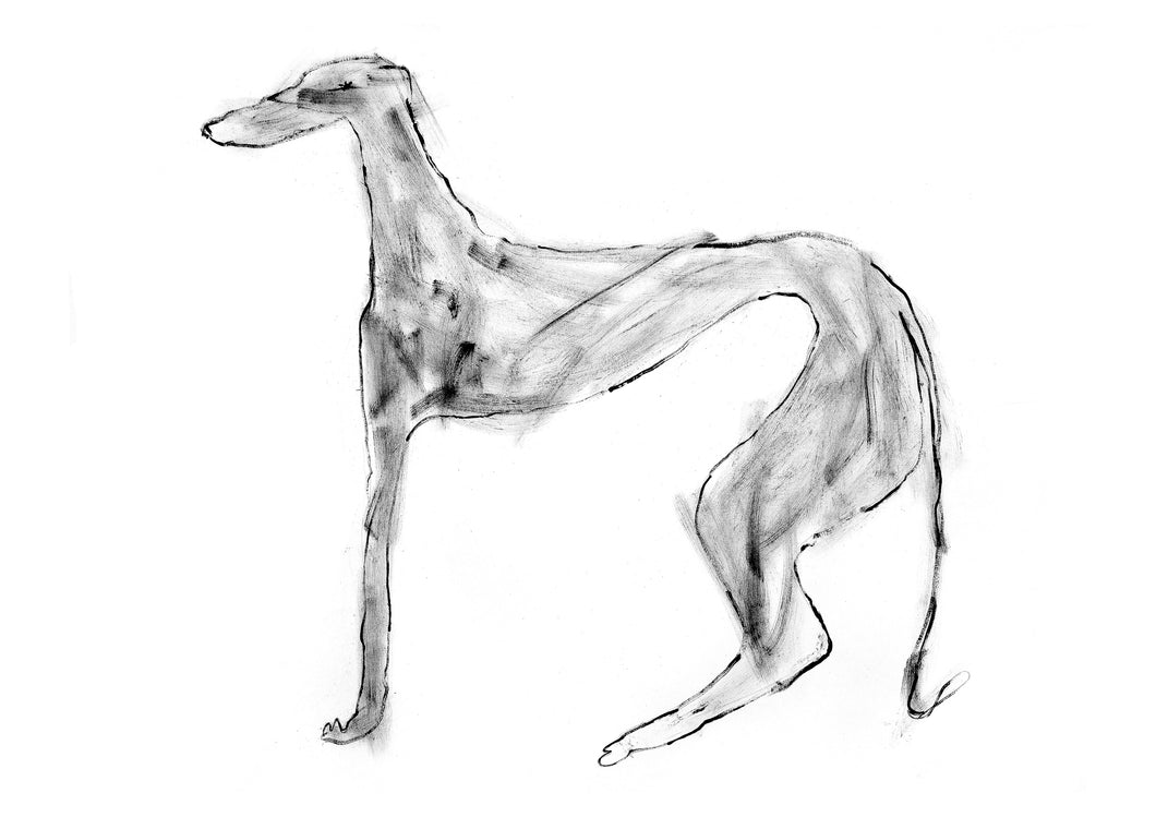 Greyhound Standing - Signed Print