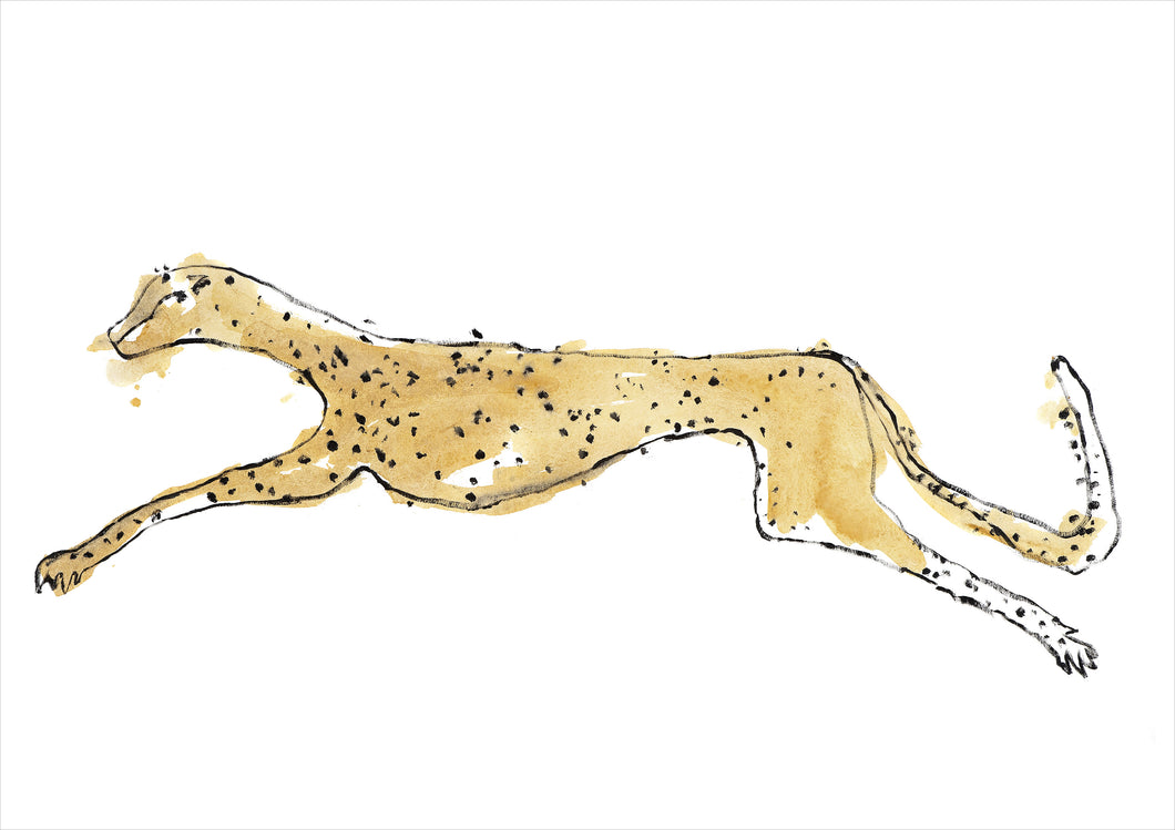 Leopard Running - Signed Print