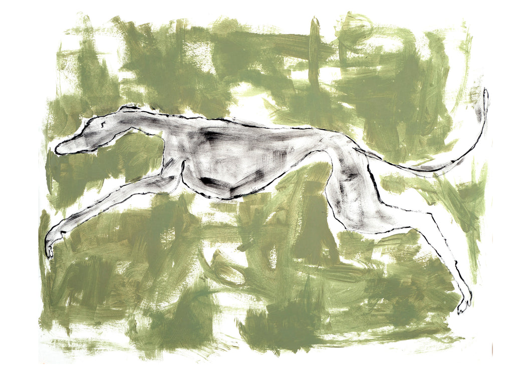 Greyhound On Green - Signed Print