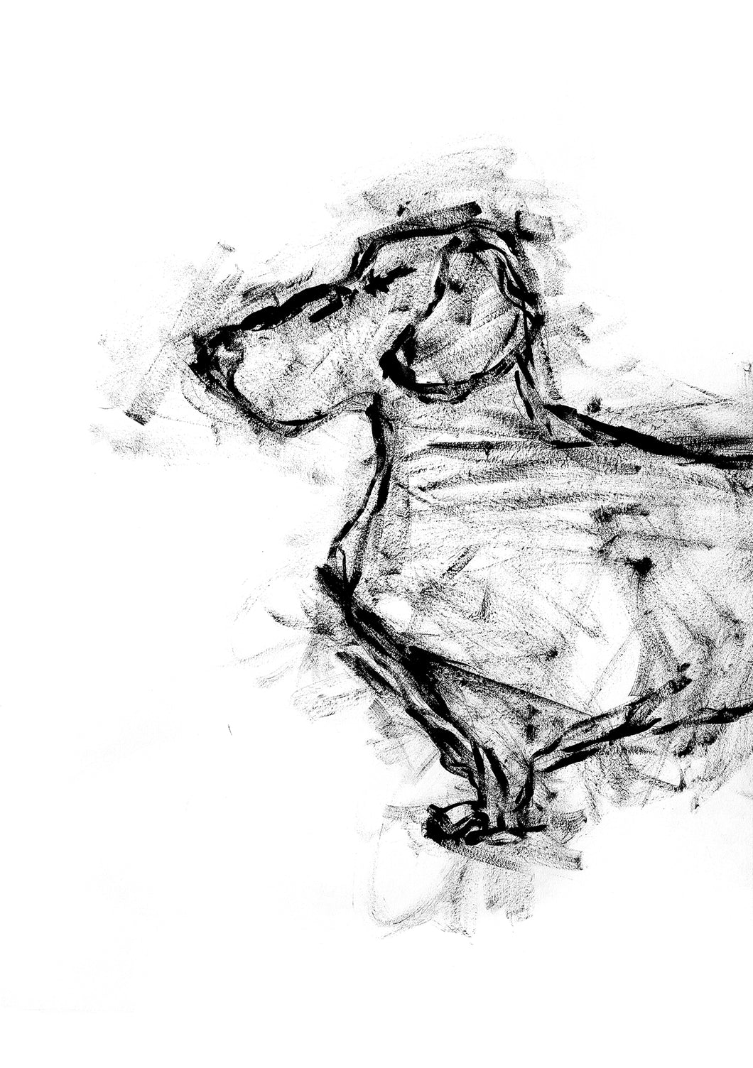 Black Dachshund - Signed print collection