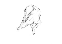 Charger l&#39;image dans la galerie, *FULL SET* Greyhound Study- Signed Prints
