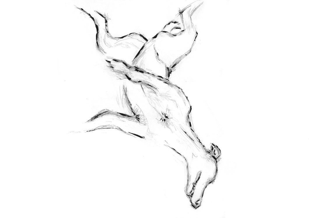 Greyhound Study #7 - Original